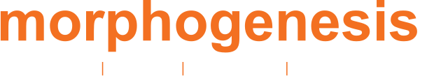 Morphogenesis logo